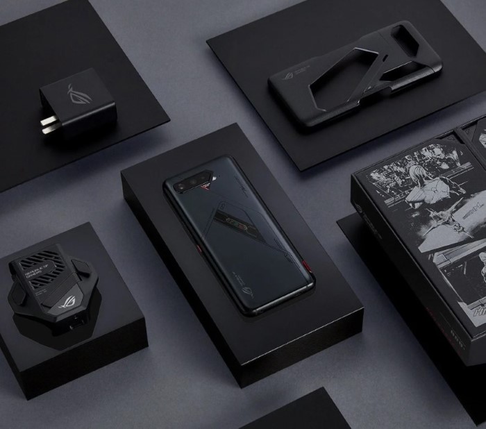 Asus Rog Phone 5S Serisi Avrupa'da Satışa Sunuluyor