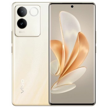 Vivo S17e