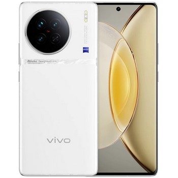 Vivo X90s